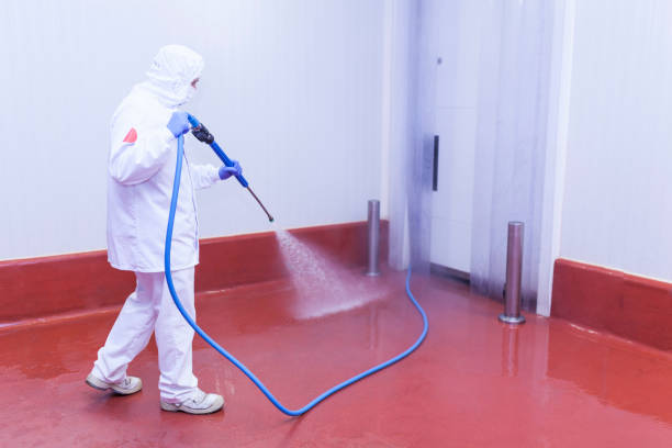 Best Graffiti Removal  in Temelec, CA