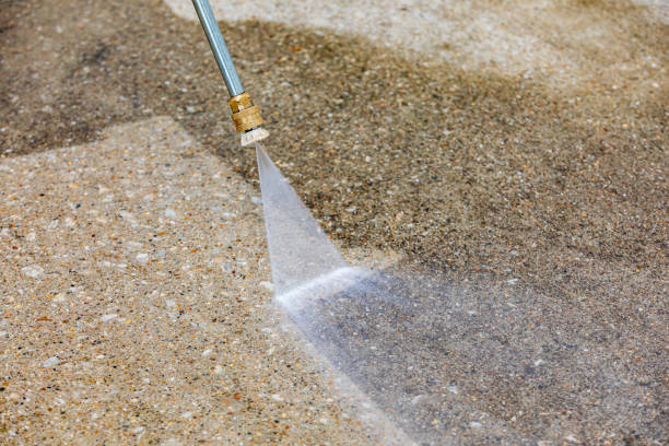 Best Soft Washing  in Temelec, CA